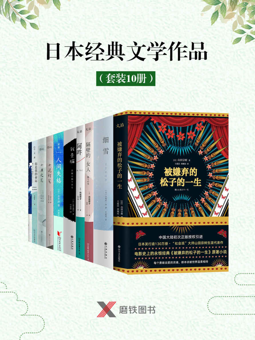 日本经典文学作品（套装10册）(被嫌弃的松子的一生、细雪、隔壁的女人、我是猫等)