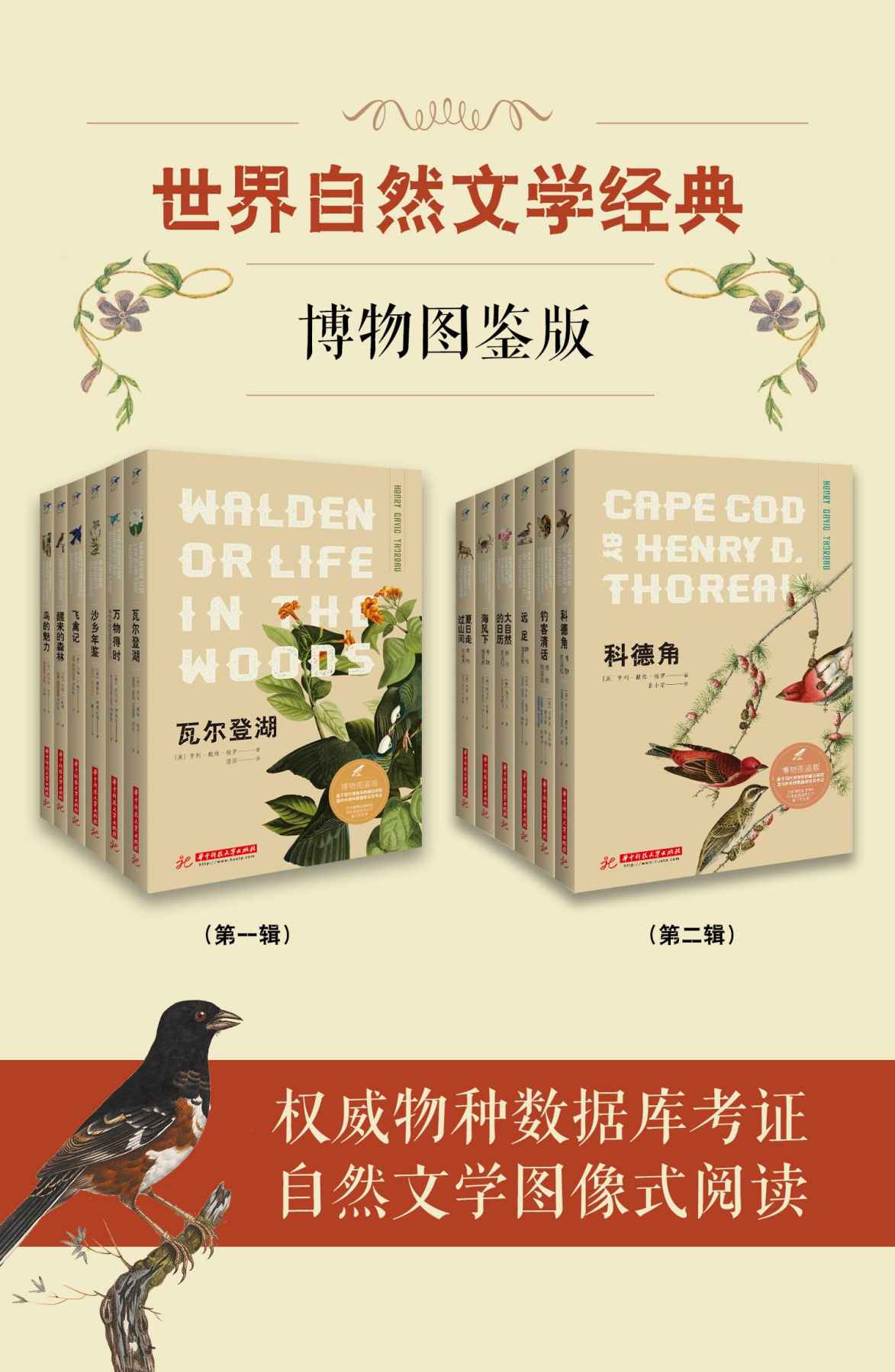 世界自然文学经典：博物图鉴版(共12册）（基于全球30余家物种数据库的科学考证，插图选自3万+张作品的博物画库，让你体验自然文学图像式阅读新方向，蓝知了精品丛书系列）