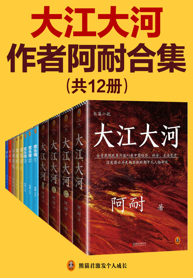 《大江大河》作者阿耐合集（共12册）（含《大江大河》(全4册)《欢乐颂》（全3册）《都挺好》(全2册)《不得往生》《食荤者》《余生》，阿耐出品，必是精品！作品改编影视剧均引起热议！）