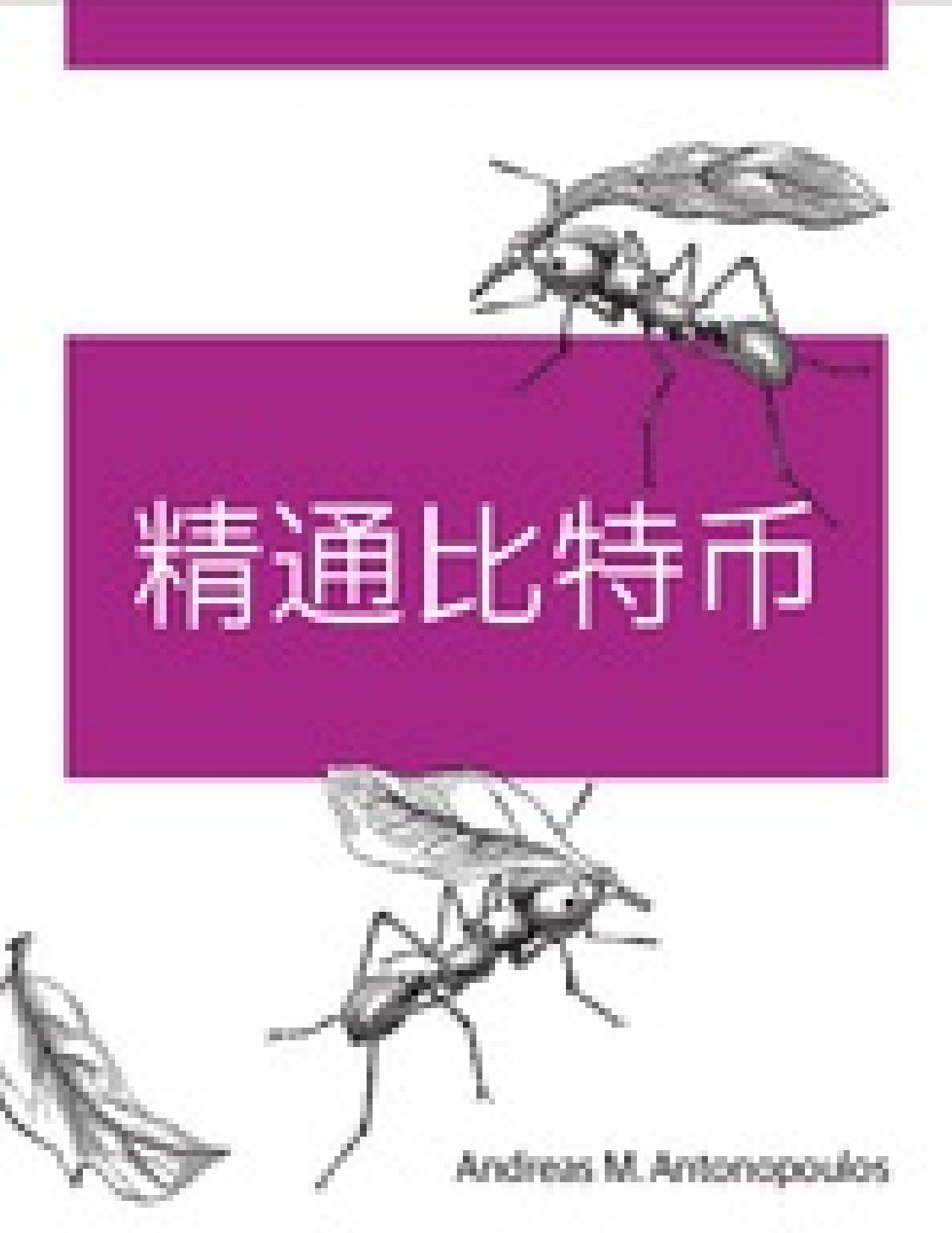 精通比特币