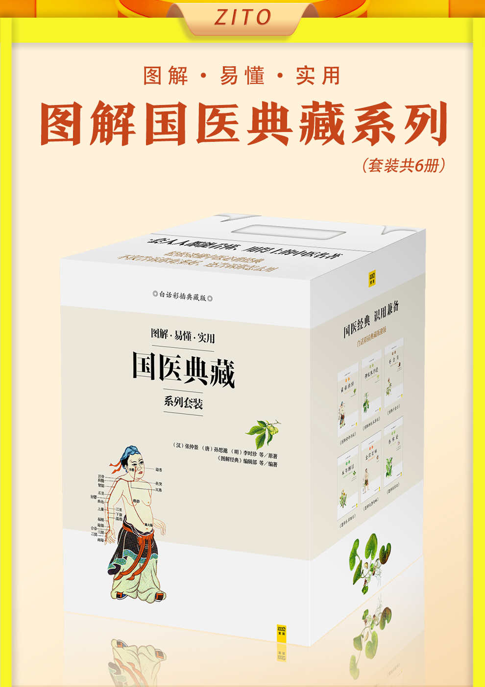 图解国医典藏系列套装（全6册）（中医传世经典 中医临床必读！1000000+读者好评推荐！权威底本白话解读，人人都能看懂。近7000条实用药方+超4000幅精美插图，轻松读懂中医必看经典，不仅告诉你有多好，还告诉你怎么用！）