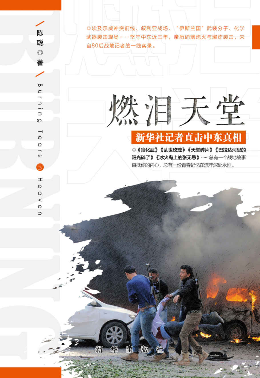 燃泪天堂:新华社记者直击中东真相