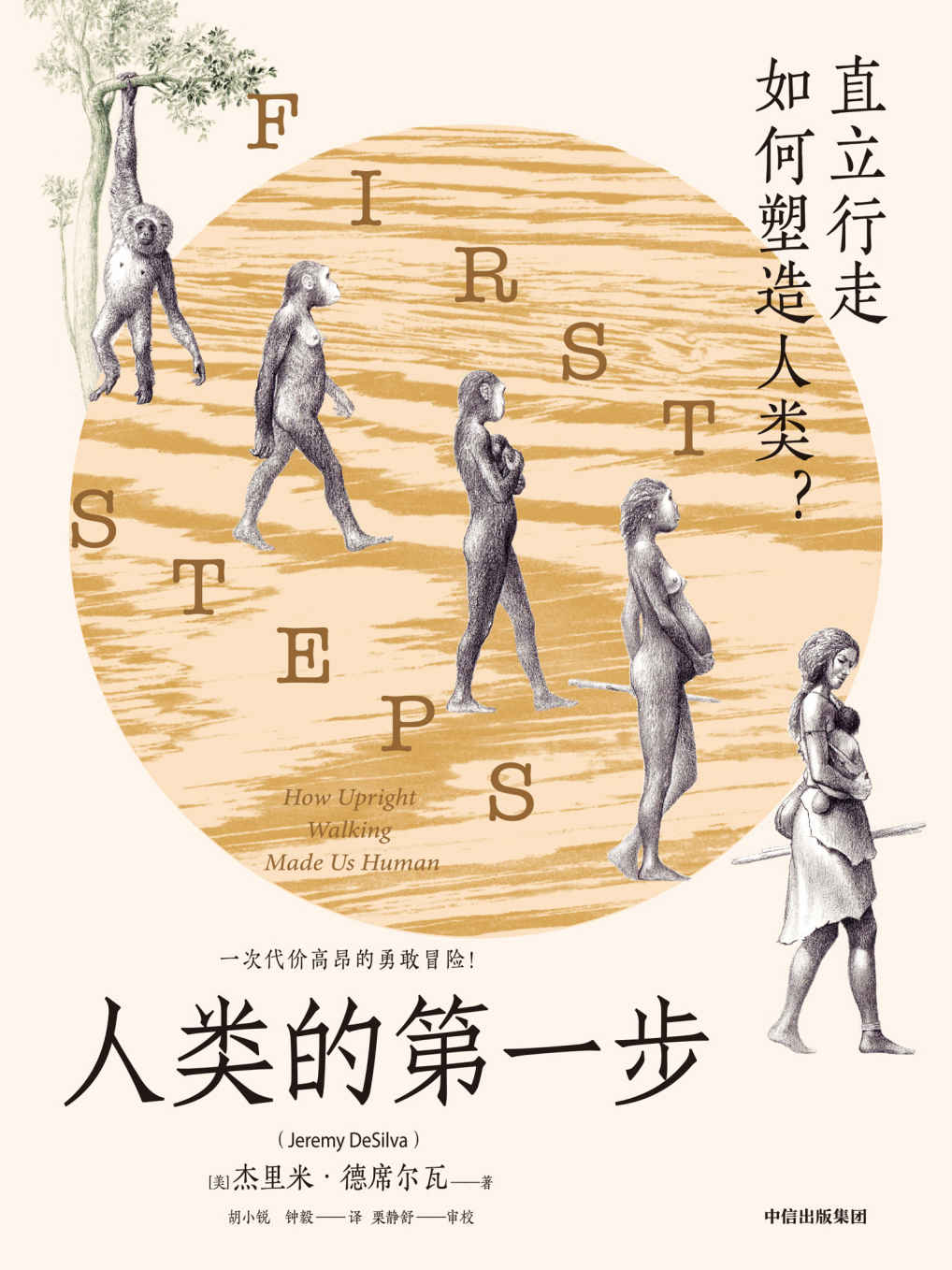 人类的第一步（你学到的人类进化示意图可能是错的！一场解剖结构的大变革，一次造就人类社会性的巨大挑战。认识直立行走，重新定义人类。）