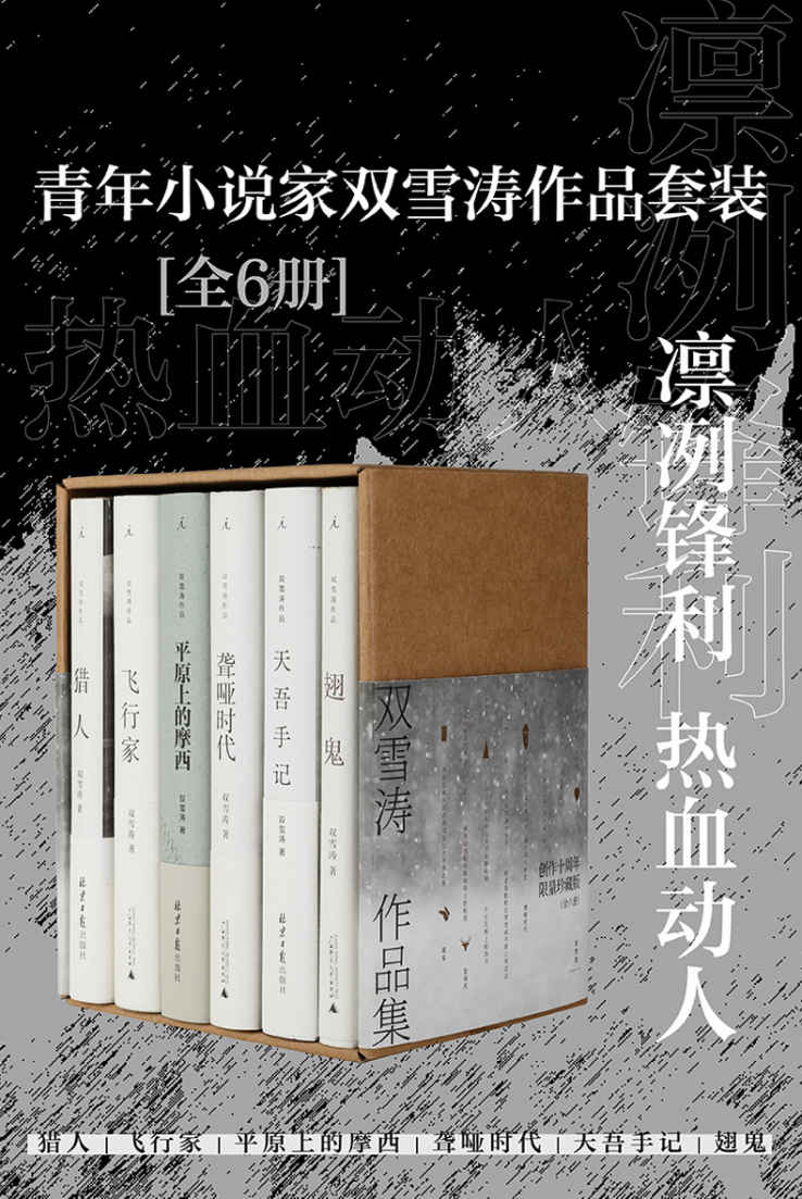 青年小说家双雪涛作品套装（全6册）（凛冽锋利， 热血动人, 当代中国最具大师潜质的青年小说家，创造“新的美学原则”，最纯粹小说家作品合集 理想国出品）