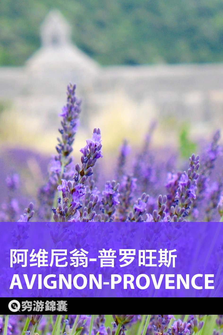 穷游锦囊：阿维尼翁-普罗旺斯