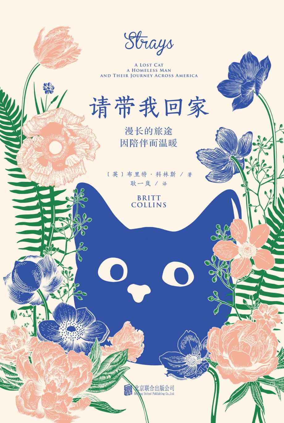 请带我回家（人与流浪猫之间最简单、最真实的情感与爱的治愈力量，爱猫之人不可错过的温情之作）