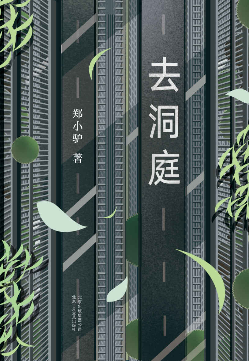 去洞庭（阎连科、韩少功、李敬泽、阿乙等诚挚推荐。85后“文字解剖师”，文字版《低俗小说》，小说版《撞车》。）