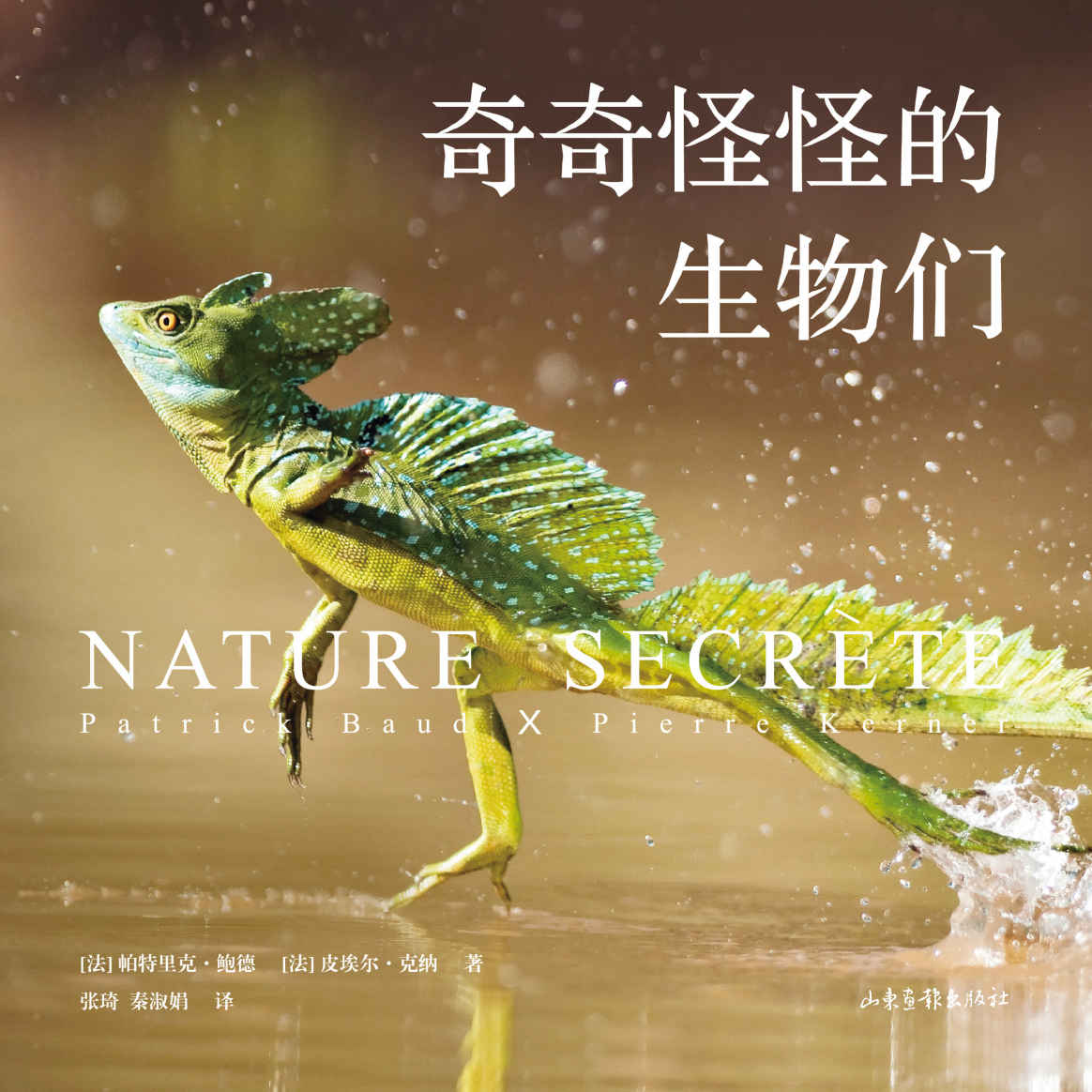 奇奇怪怪的生物们（神奇动物在这里！澳大利亚的五彩蜘蛛、马达加斯加的枯叶壁虎、印度的巨型松鼠…百余种珍稀物种，大开眼界！）