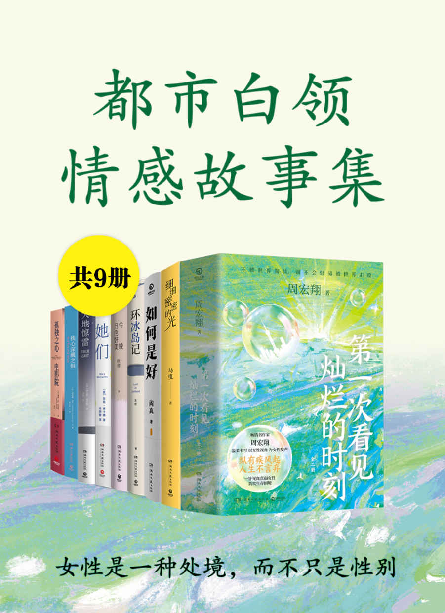 女性是一种处境，而不只是性别：都市白领情感故事集（共9册）