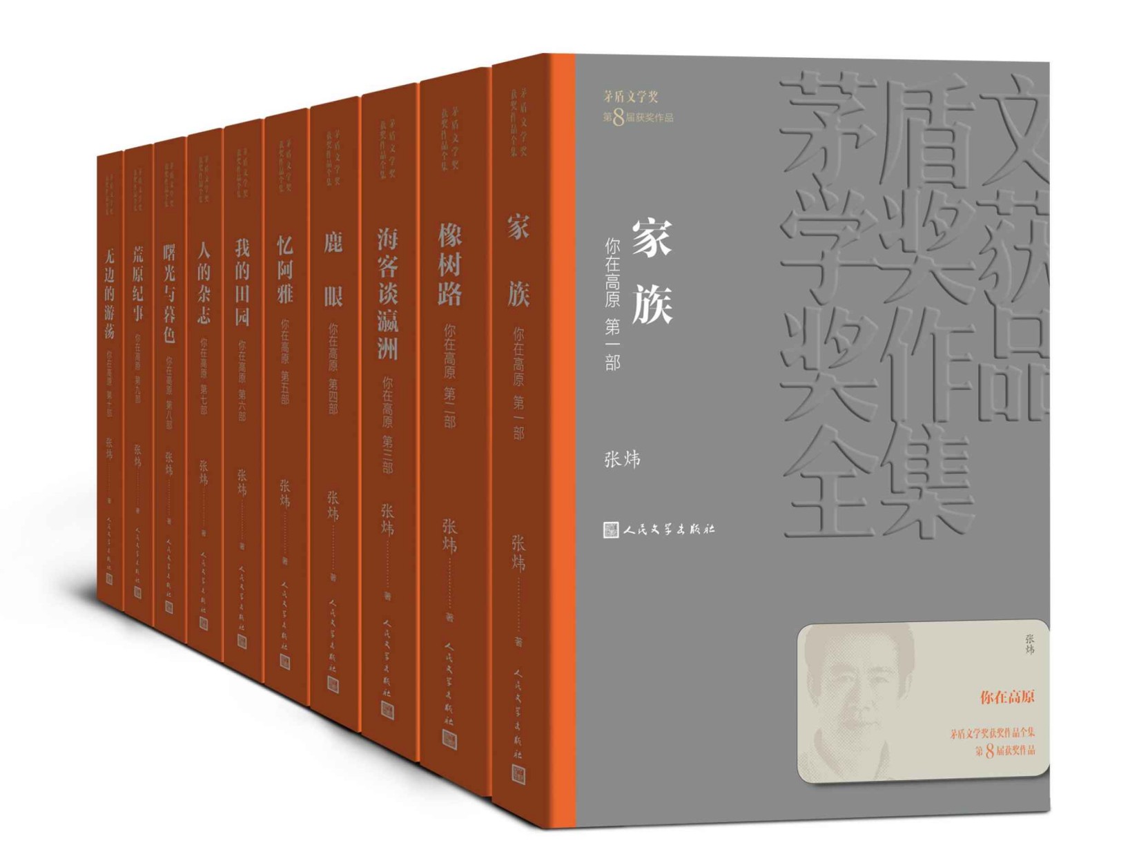 你在高原·全10册（第八届茅盾文学奖获奖作品；在追赶的路上，请停下来听我叙说关于爱和童年、残忍和怜悯、不幸和永生的回忆） (茅盾文学奖获奖作品全集)