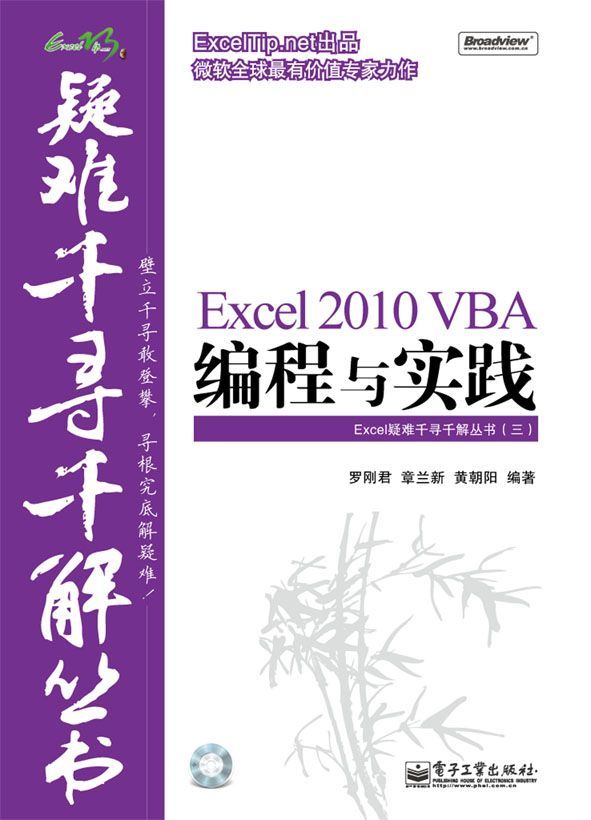 Excel 2010 VBA编程与实践 (Excel疑难千寻千解丛书)