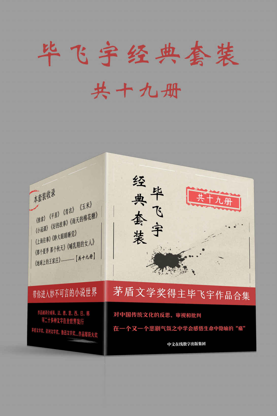 毕飞宇经典套装：共19册（集结茅盾文学奖得主毕飞宇重磅长篇，中篇，短篇力作！19册精品合集首次发布！感受当代著名作家个人创作风格的多面性以及在不断嬗变中如何走近人心最柔软的部分）