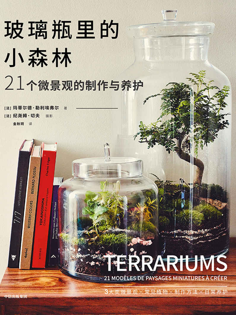 玻璃瓶里的小森林：21个微景观的制作与养护（微缩于方寸之间的小小森林。21个制作简单、容易养护、拥有超高颜值的玻璃瓶微景观，在家也能时刻亲近自然。）
