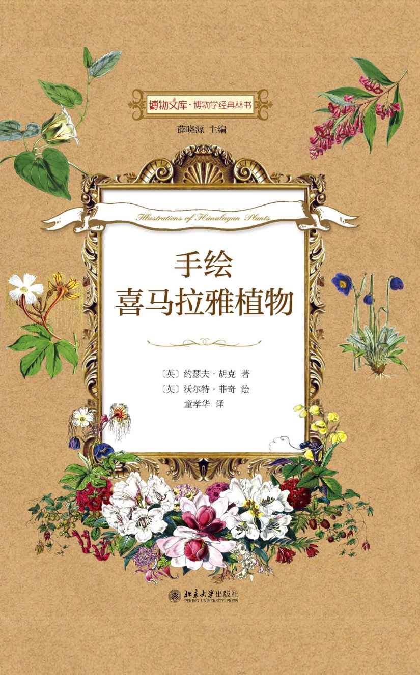 博物文库·博物学经典丛书:手绘喜马拉雅植物