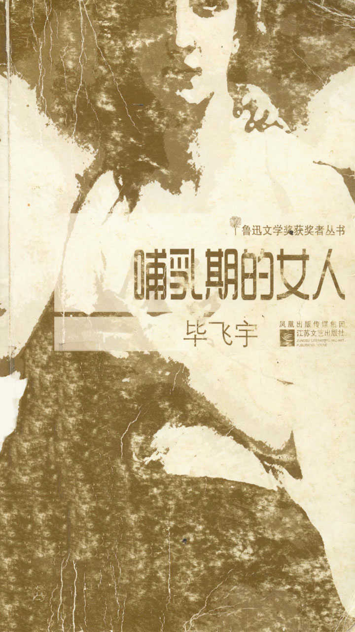 哺乳期的女人（茅盾文学奖获奖作家毕飞宇的中短篇小说集，鲁迅文学奖获奖作品）