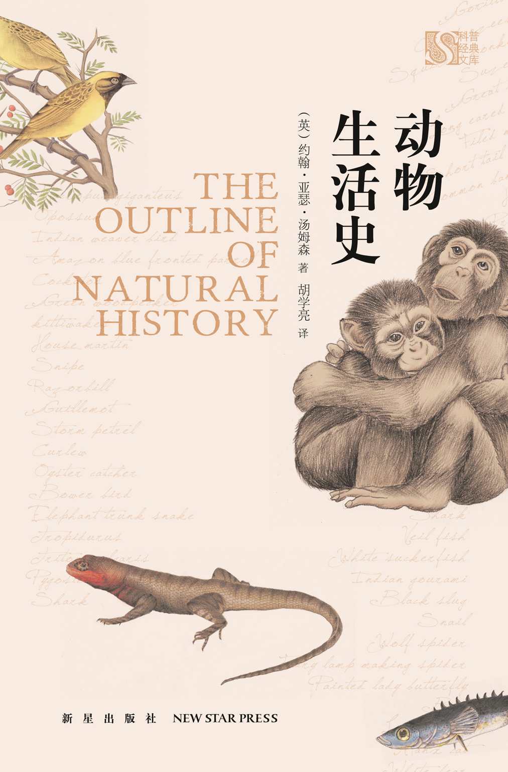 动物生活史