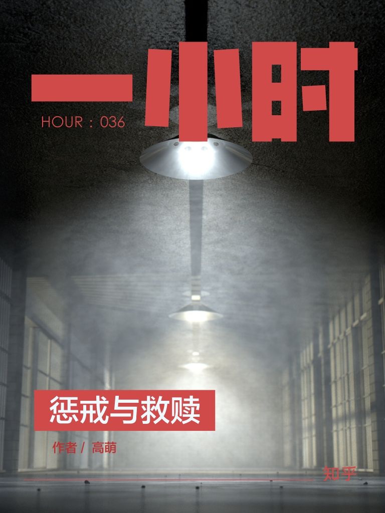 惩戒与救赎：知乎高萌作品 (知乎「一小时」系列)