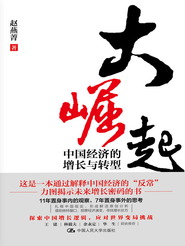 大崛起：中国经济的增长与转型【赵燕菁教授新著，揭示城市空间战略与经济增长问题，王建、林毅夫、余永定、华生联袂推荐！】