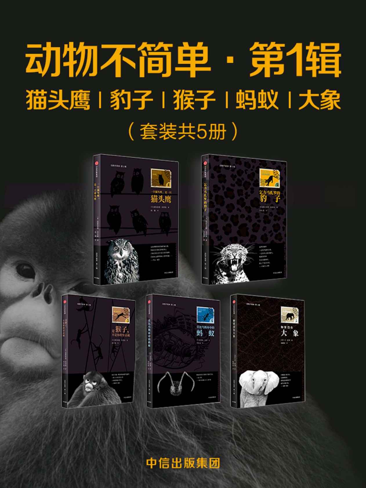 动物不简单·第1辑：猫头鹰、豹子、猴子、蚂蚁、大象（套装共5册）（一套丰富多彩的人文科普书！一串瑰丽神奇的动物文化风景）