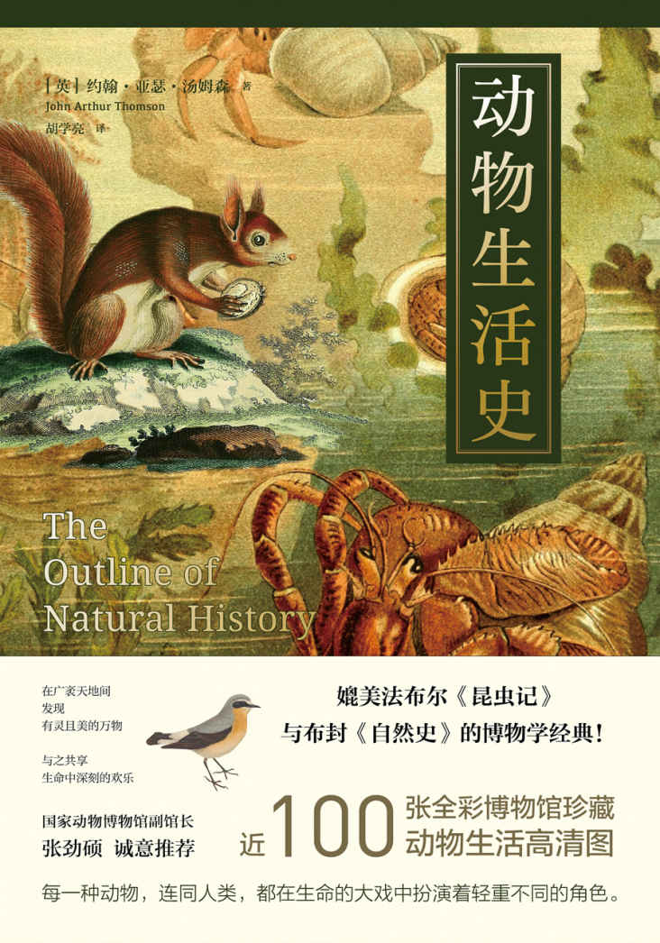 动物生活史（媲美《昆虫记》的博物学经典，打开看待世界的新方式，自然与人文的博物学经典之作！）