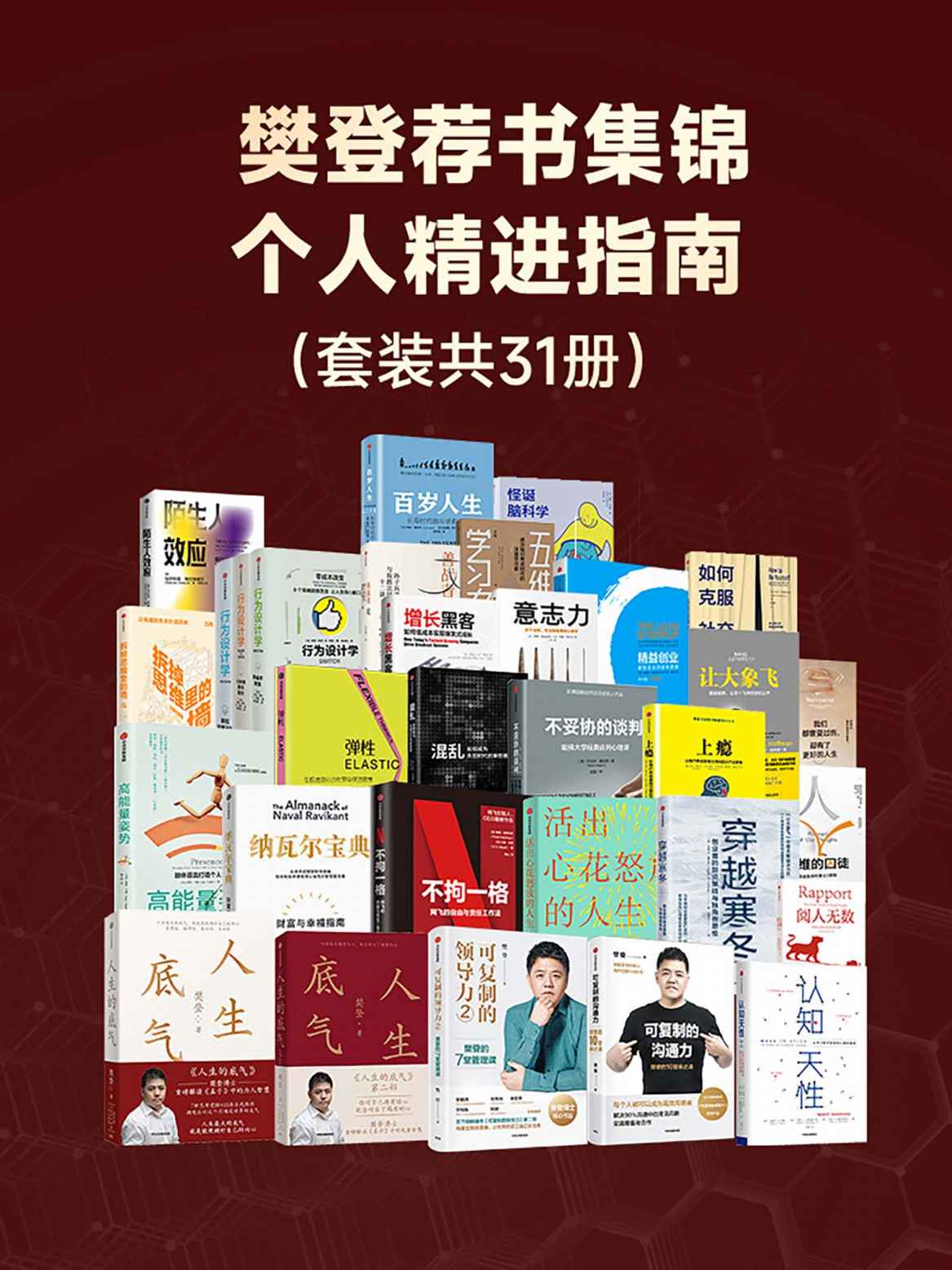 樊登荐书集锦——个人精进指南（套装共31册）