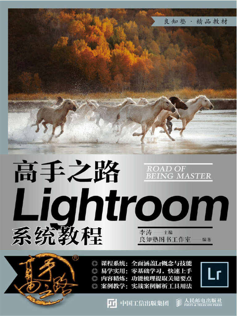 高手之路——Lightroom系统教程（跟高手学习Lr后期技法，数字影像处理核心职业技能精品教材）