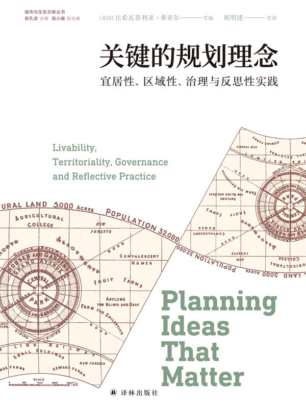关键的规划理念：宜居性、区域性、治理与反思性实践 (城市与生态文明丛书)
