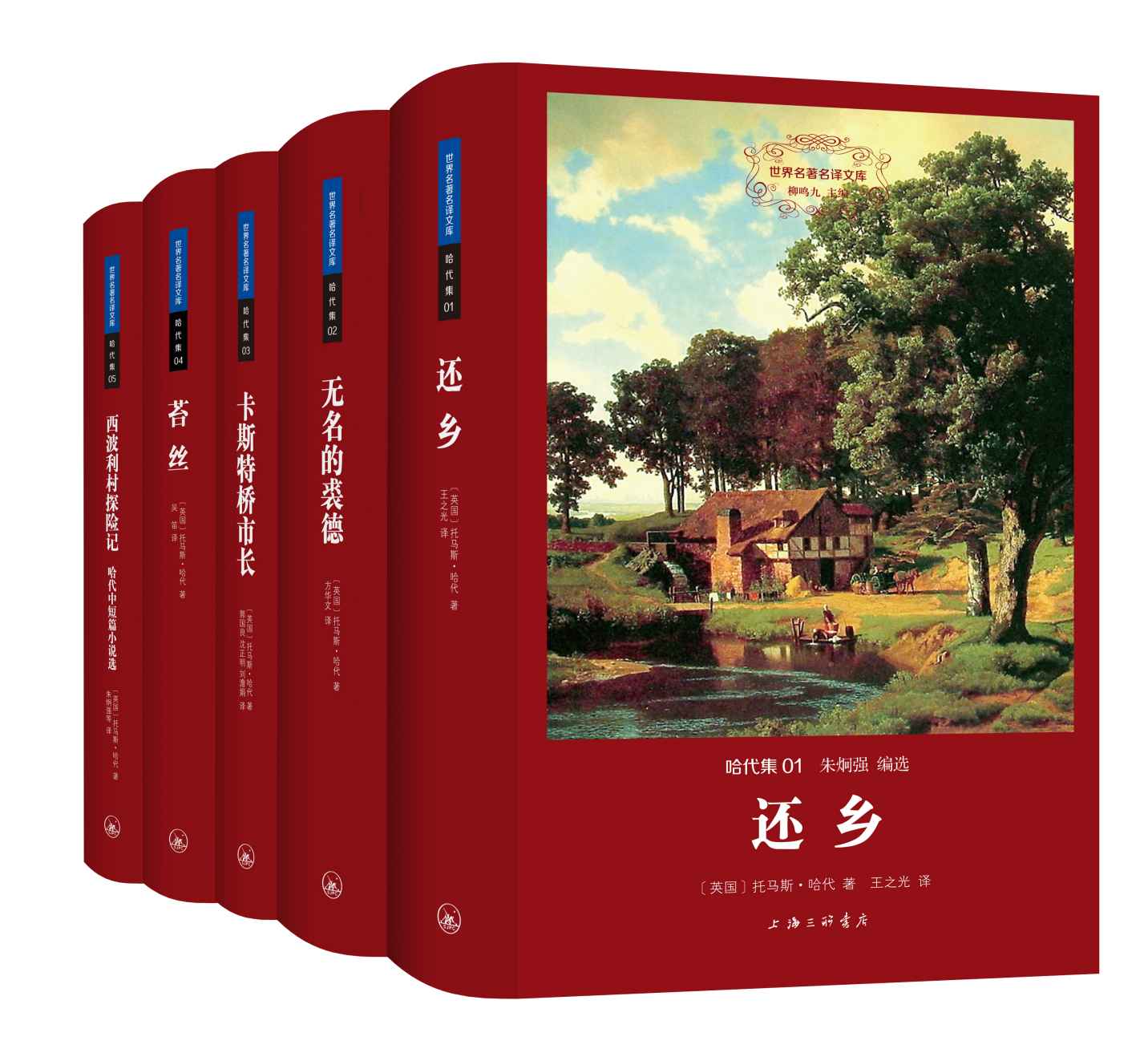 哈代集（世界名著名译文库 共五册）