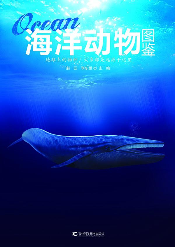 海洋动物图鉴