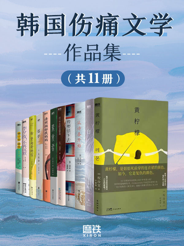 韩国伤痛文学作品集（套装11册）