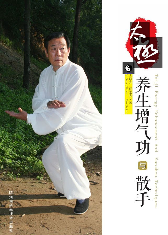 太极养生增气功与散手 (太极功夫系列)