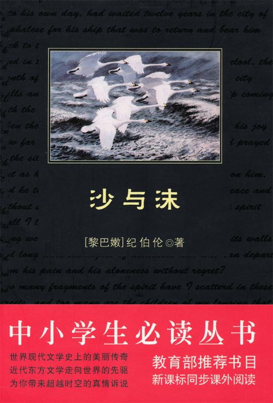 中小学生必读丛书:沙与沫
