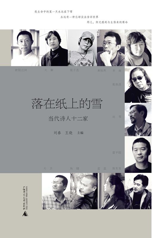 落在纸上的雪：当代诗人12家