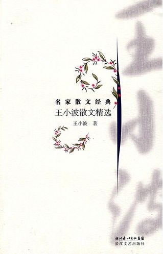 王小波散文精选 (名家散文经典)