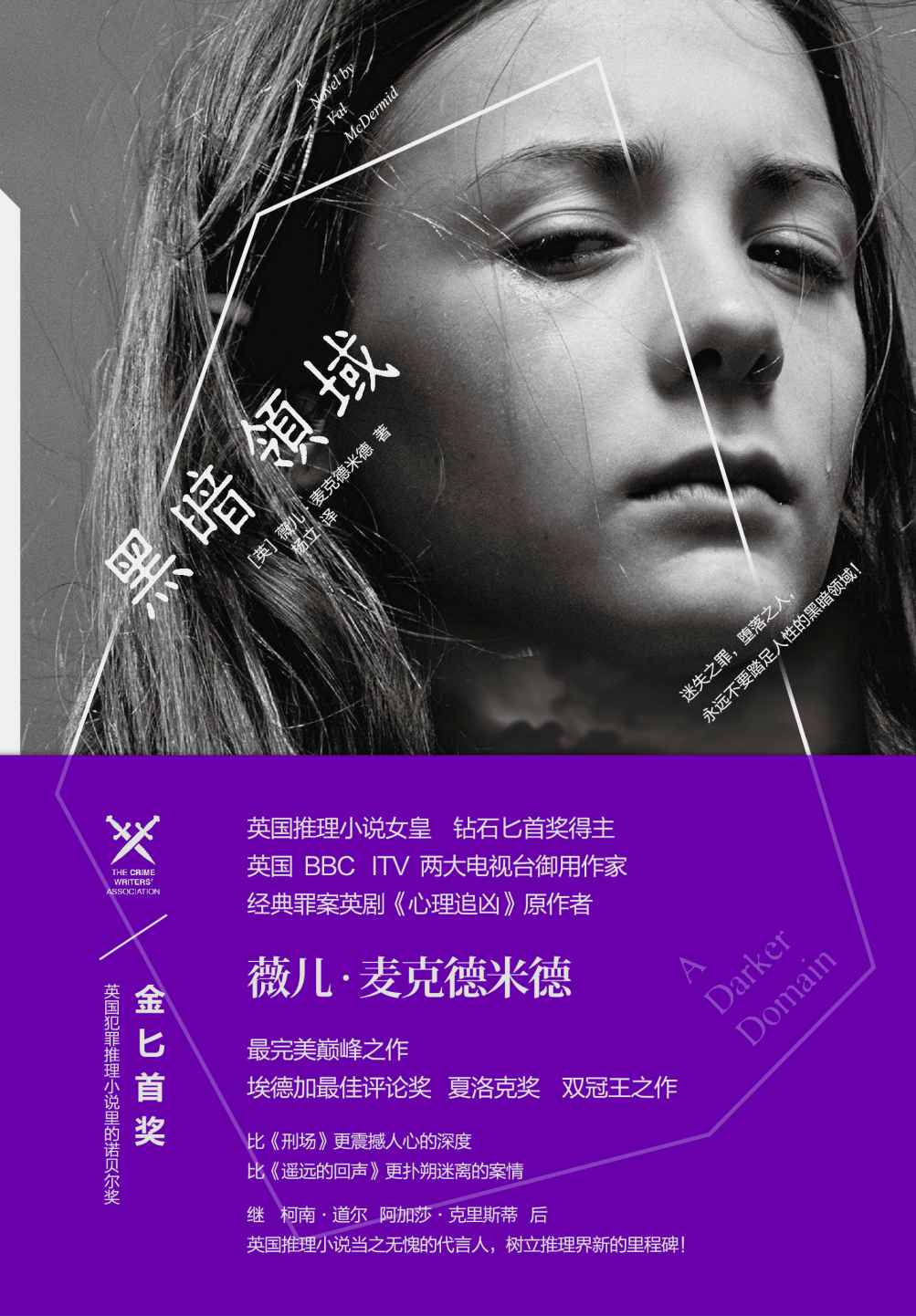 黑暗领域(英国推理小说女王震撼人心的三冠王之作,当之无愧的推理大师) (旋梯书架·薇儿·麦克德米德作品：03)