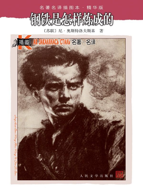 钢铁是怎样炼成的 (名著名译插图本·精华版)