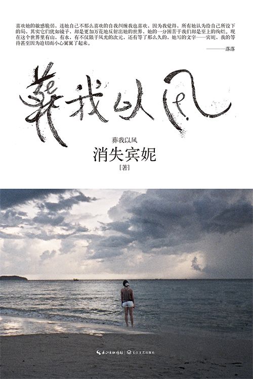葬我以风