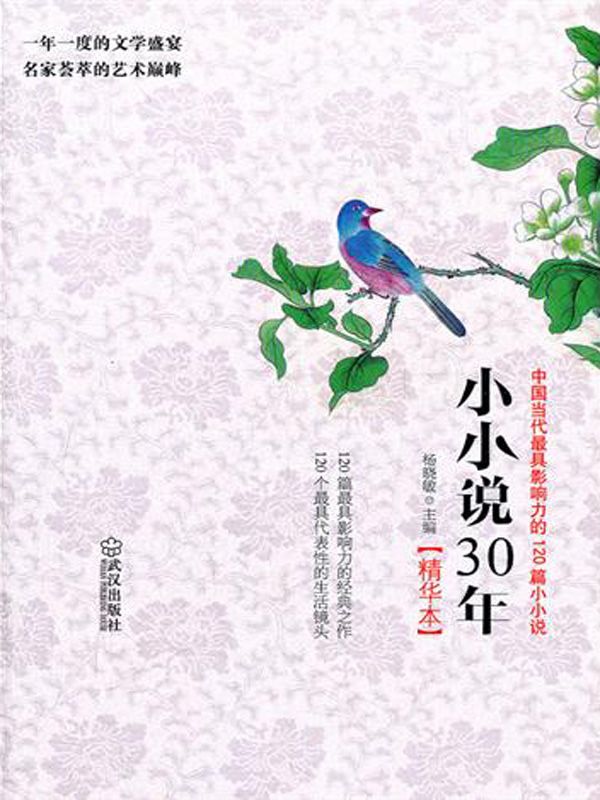 小小说30年精华本：中国当代最具影响力的120篇小小说