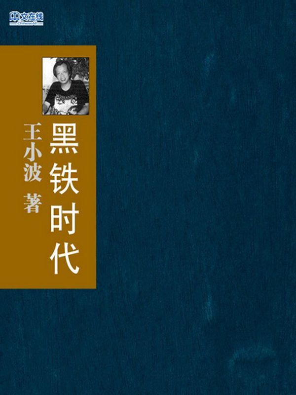 黑铁时代 (王小波作品系列)