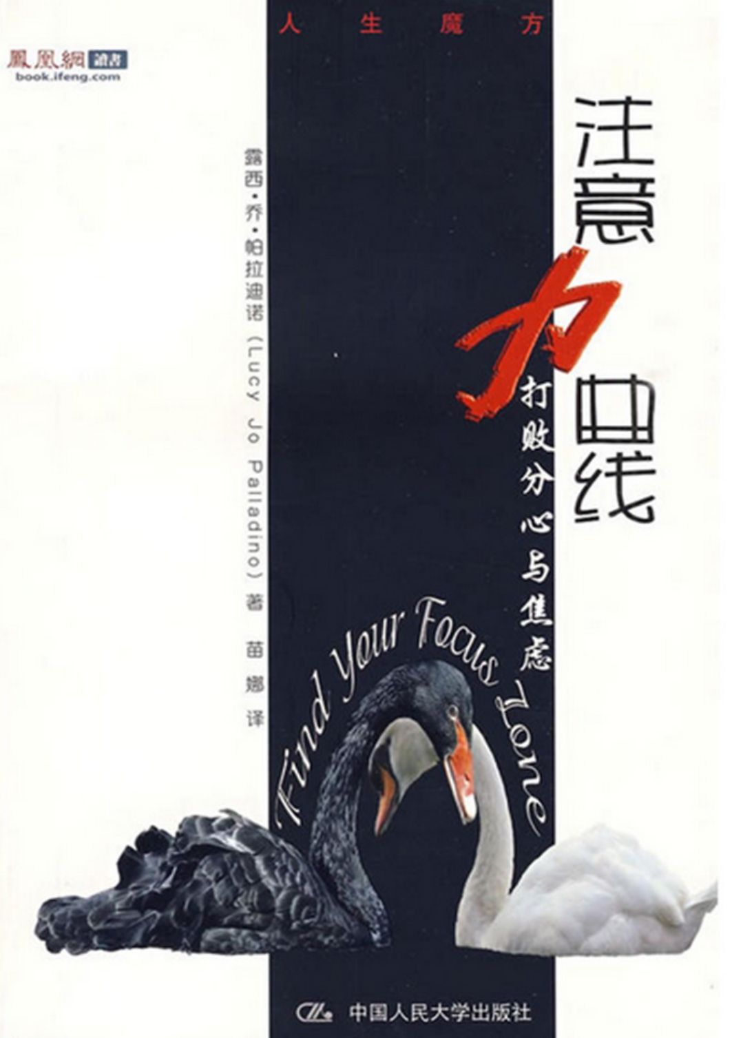 注意力曲线——打败分心与焦虑（人生魔方）