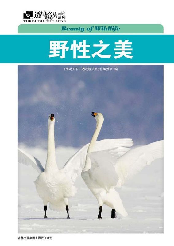 野性之美 (图说天下·透过镜头系列)