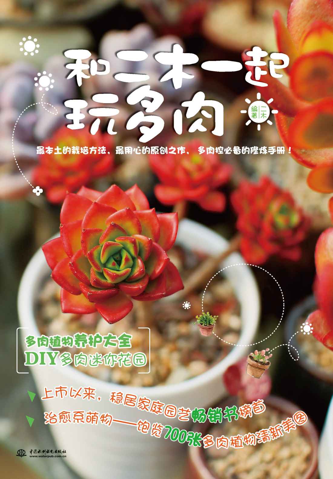 和二木一起玩多肉