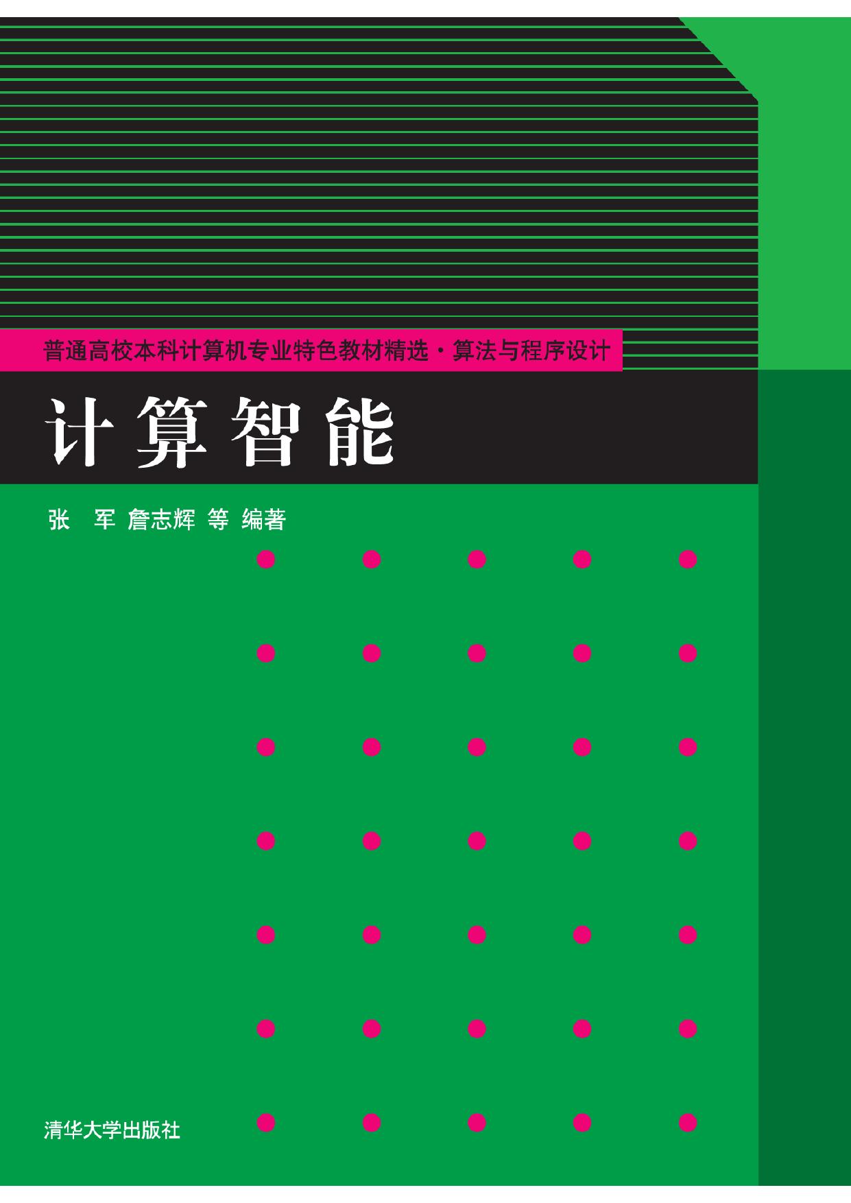计算智能 张军
