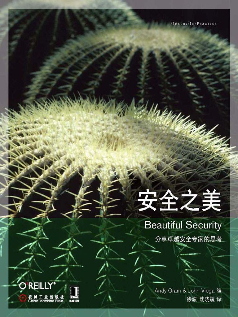 安全之美 (O'Reilly精品图书系列)