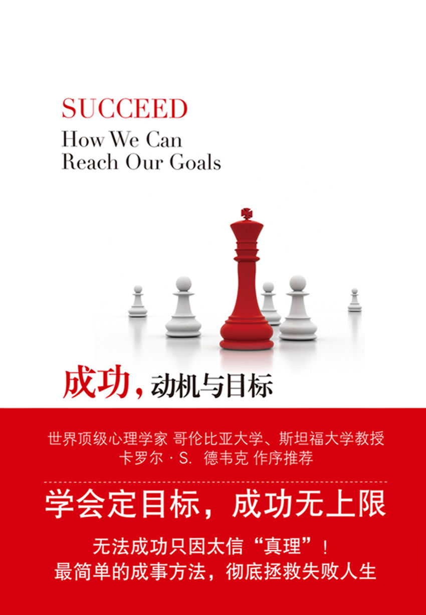 成功，动机与目标