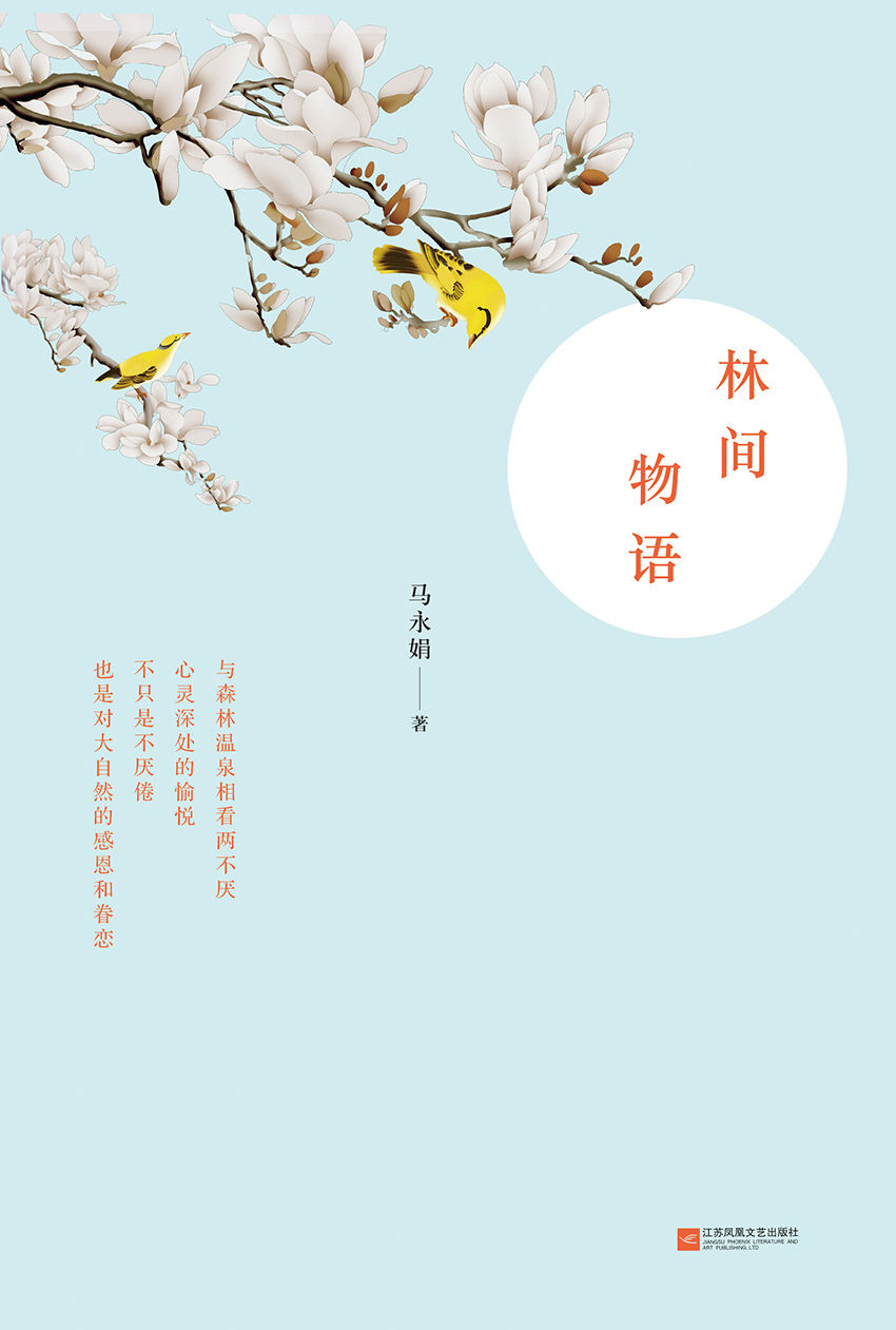 林间物语
