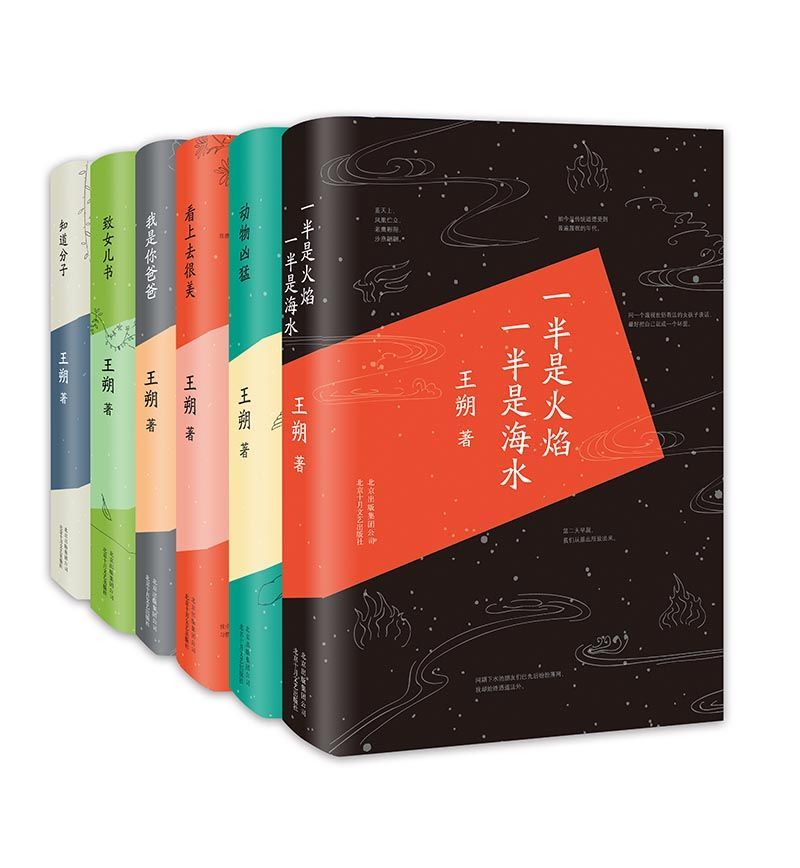 王朔精品合集