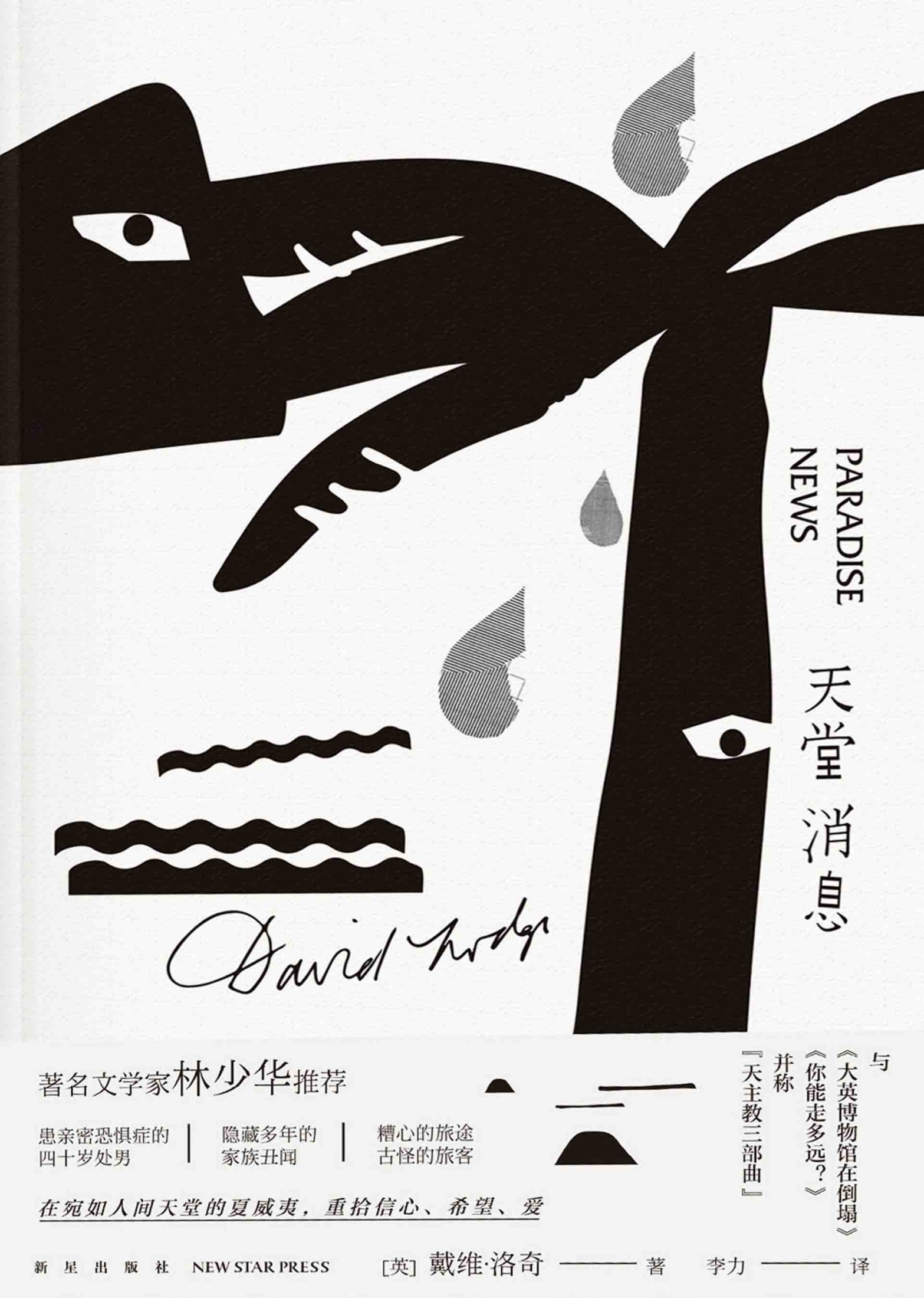 天堂消息（英国著名小说家戴维·洛奇“天主教三部曲”之一，著名文学家林少华推荐。）