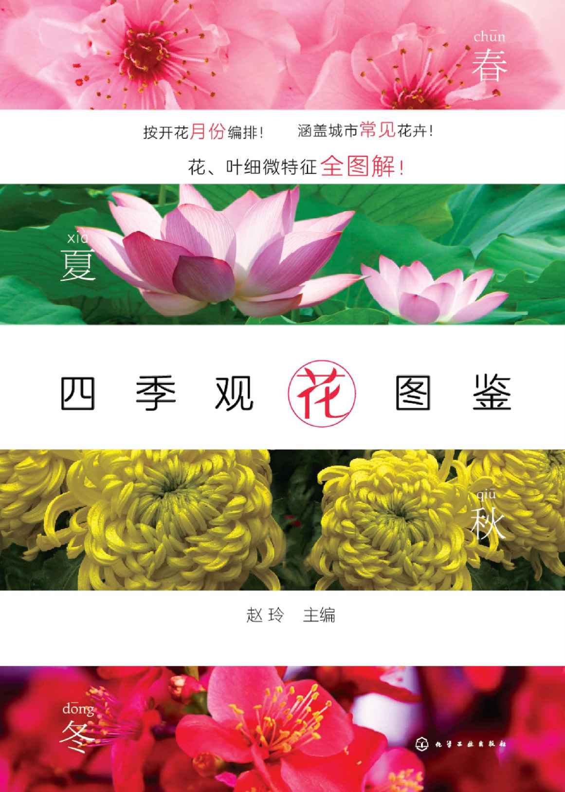 四季观花图鉴