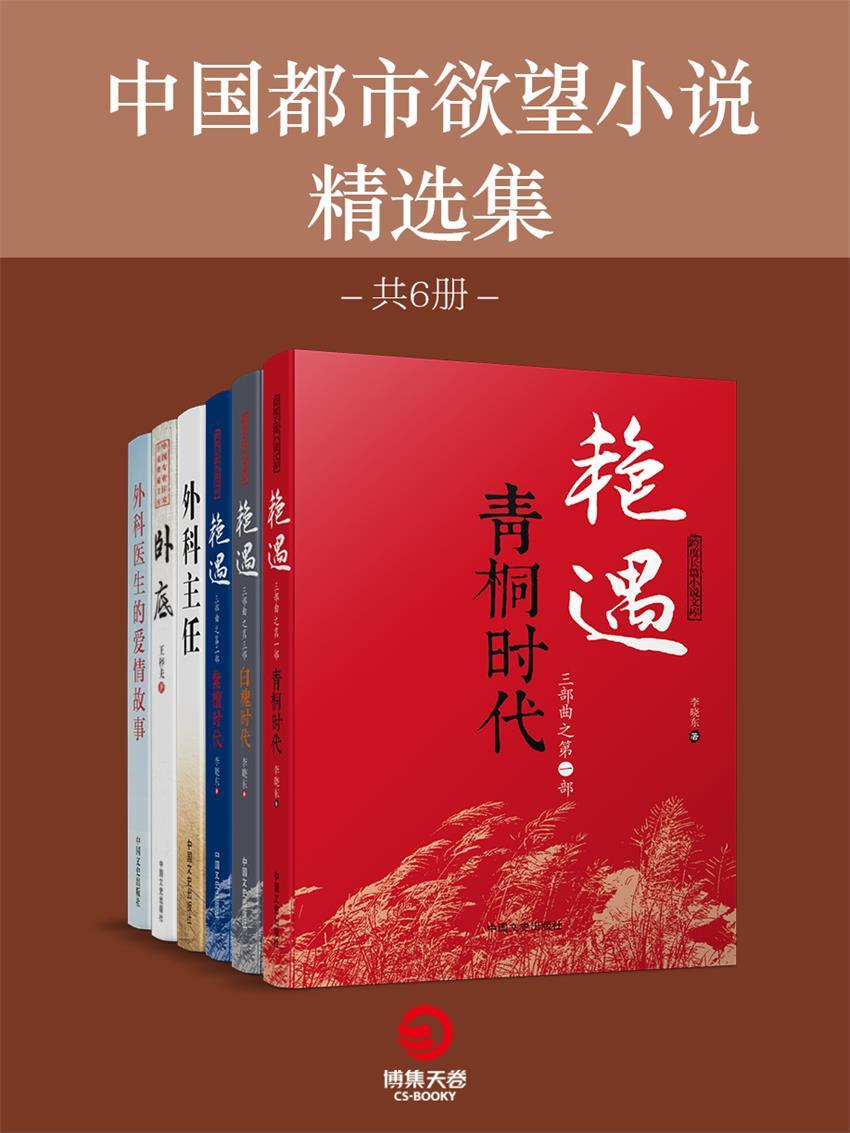 中国都市欲望小说精选集（共6册）